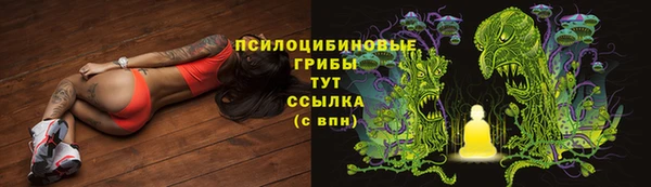 твердый Михайловск