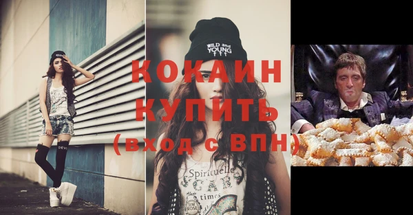 твердый Михайловск