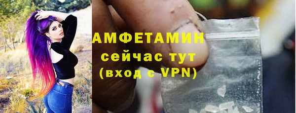 твердый Михайловск