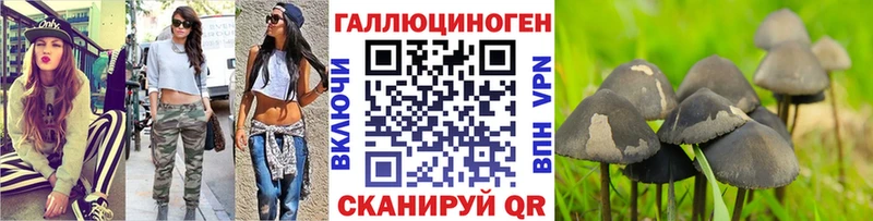 Купить закладки  Медвежьегорск  Псилоцибиновые грибы GOLDEN TEACHER 